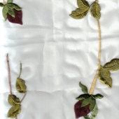 F12443R long steam rose SP